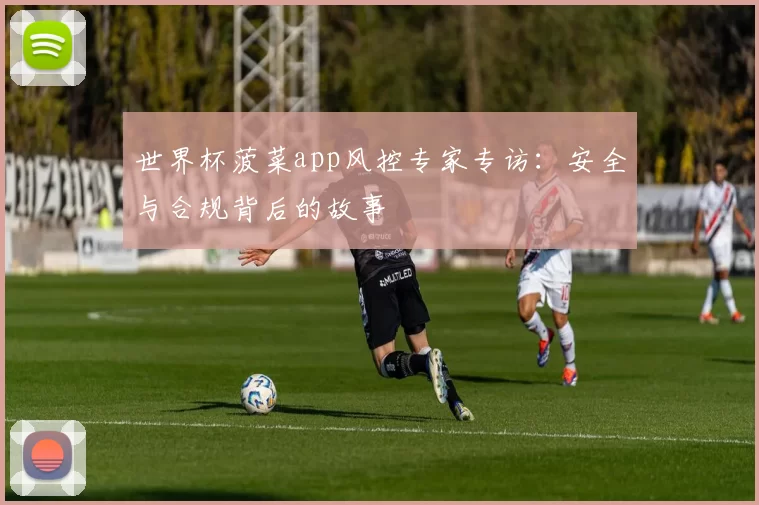 世界杯菠菜app风控专家专访:安全与合规背后的故事