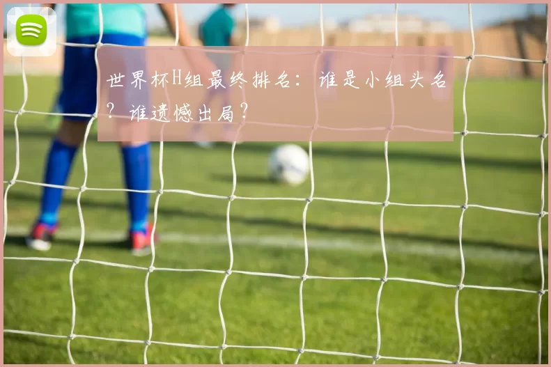 世界杯H组最终排名:谁是小组头名?谁遗憾出局?