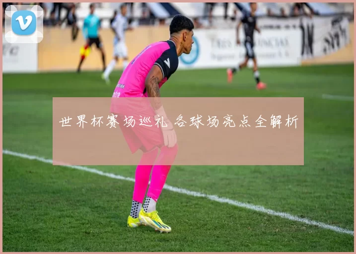 世界杯赛场巡礼 各球场亮点全解析