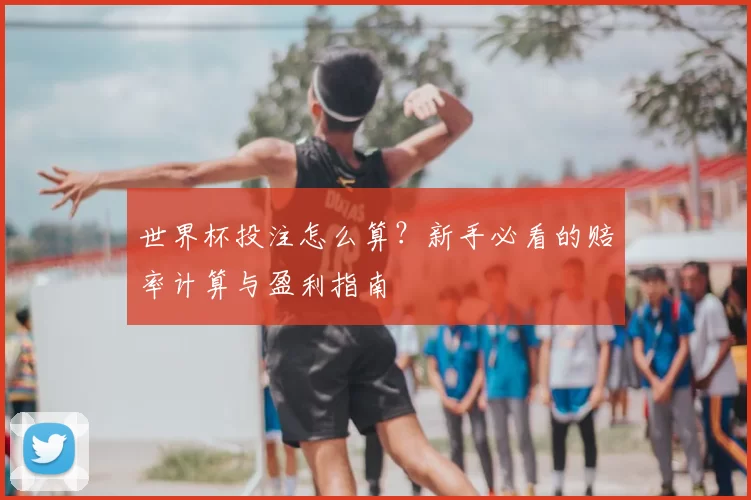 世界杯投注怎么算？新手必看的赔率计算与盈利指南