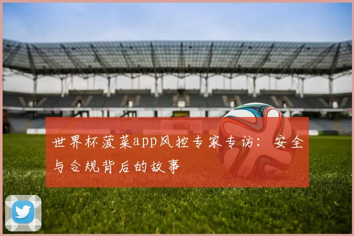 世界杯菠菜app风控专家专访：安全与合规背后的故事
