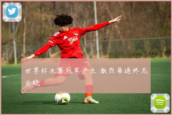 世界杯决赛冠军产生 激烈角逐终见分晓