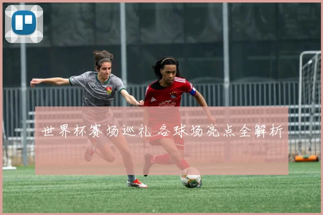 世界杯赛场巡礼 各球场亮点全解析