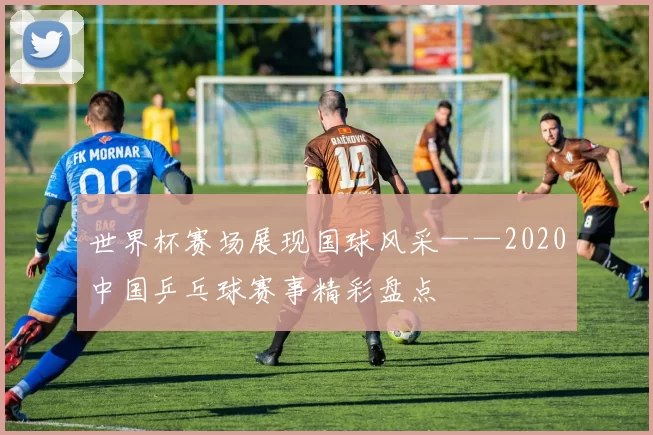 世界杯赛场展现国球风采——2020中国乒乓球赛事精彩盘点