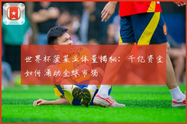 世界杯菠菜业体量揭秘：千亿资金如何涌动全球市场