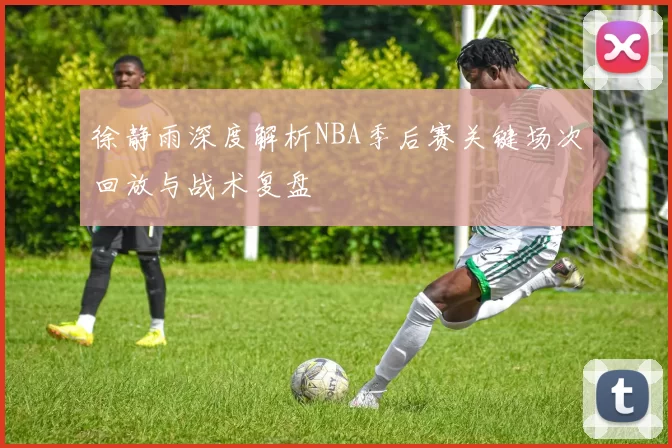 徐静雨深度解析NBA季后赛关键场次回放与战术复盘