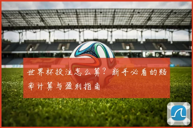 世界杯投注怎么算？新手必看的赔率计算与盈利指南