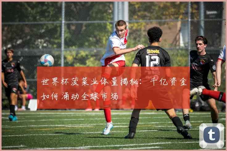 世界杯菠菜业体量揭秘:千亿资金如何涌动全球市场