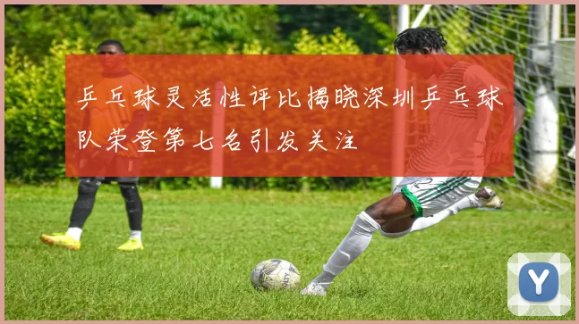 乒乓球灵活性评比揭晓深圳乒乓球队荣登第七名引发关注