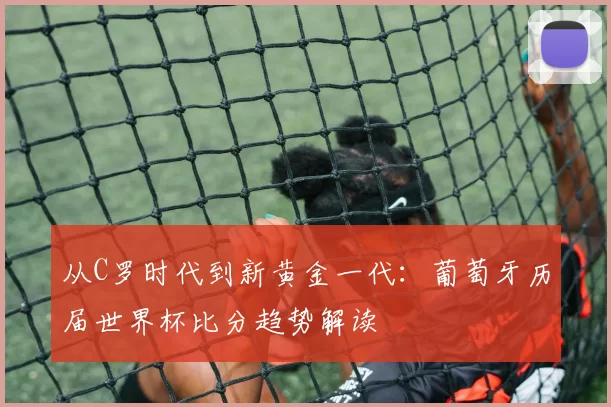 从C罗时代到新黄金一代：葡萄牙历届世界杯比分趋势解读