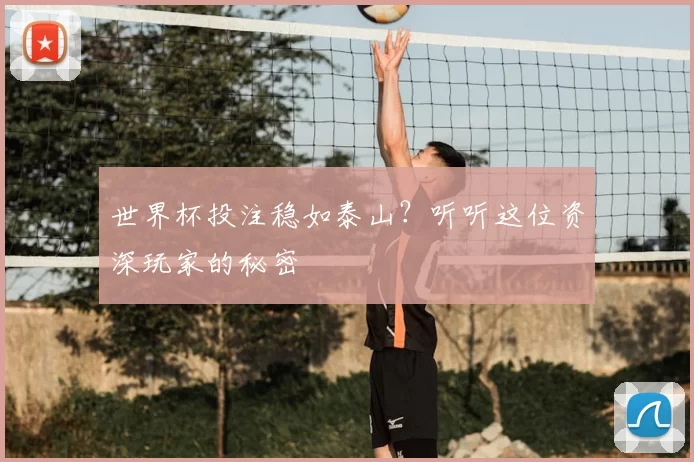 世界杯投注稳如泰山？听听这位资深玩家的秘密