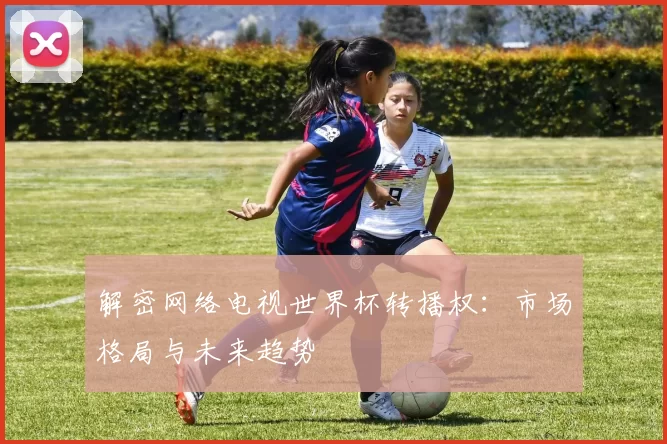 解密网络电视世界杯转播权：市场格局与未来趋势
