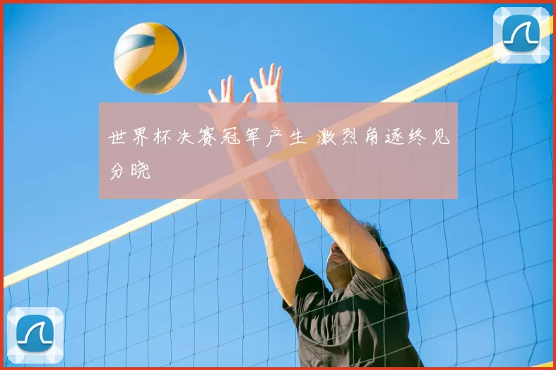 世界杯决赛冠军产生 激烈角逐终见分晓
